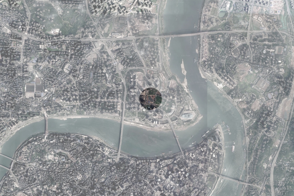 Flaviano Capriotti - copertina